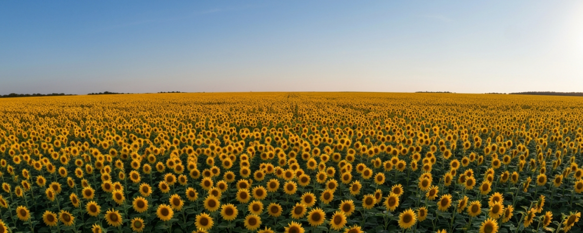 Lithium-Explorationsstandort in der kanadischen Wildnis mit Bohrausrüstung