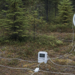 Geophysikalisches EM-Survey-Gerät im borealen Waldgelände von Québec