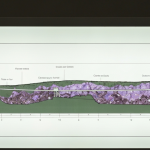 Geologisches Querschnittsmodell eines Kupfer-Porphyr-Systems auf einem Leuchtpult mit Mineralakzenten in Grün und Violet