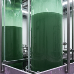 Lösungsmittelextraktionskolonne in einer Mineralverarbeitungsanlage für Nischenmineralien