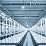 Silberverarbeitungsanlage mit glänzenden Stahlanlagen unter kühlem Industrielicht