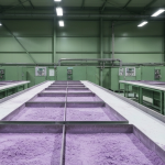 Wolfram-Verarbeitungsanlage mit Oxidpulver auf Stahltabletts in kühlem Industrielicht